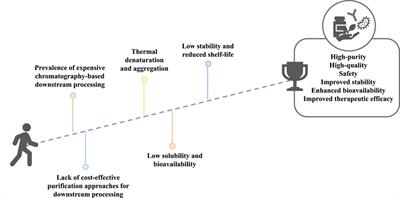 Ionic-liquid-based approaches to improve biopharmaceuticals downstream processing and formulation